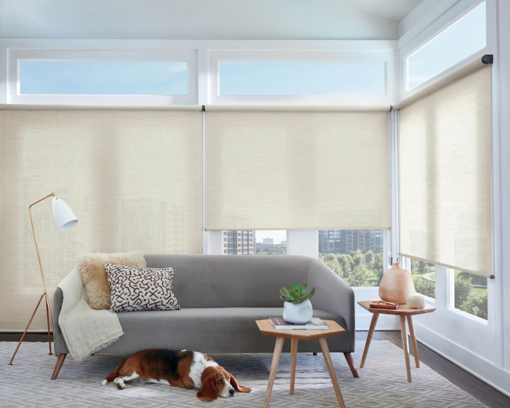 living room with roller shades and a beagle 